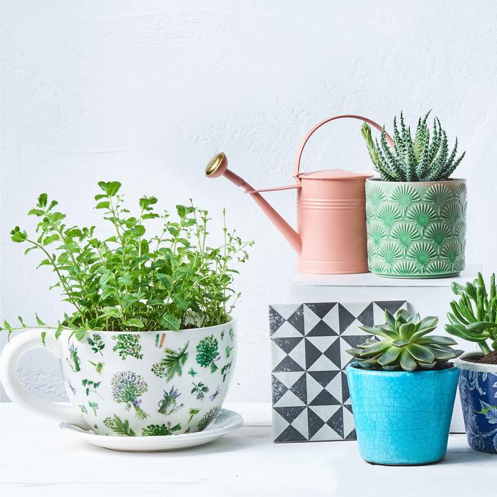 Produktbild home24 Plant A Cup (24 cm)