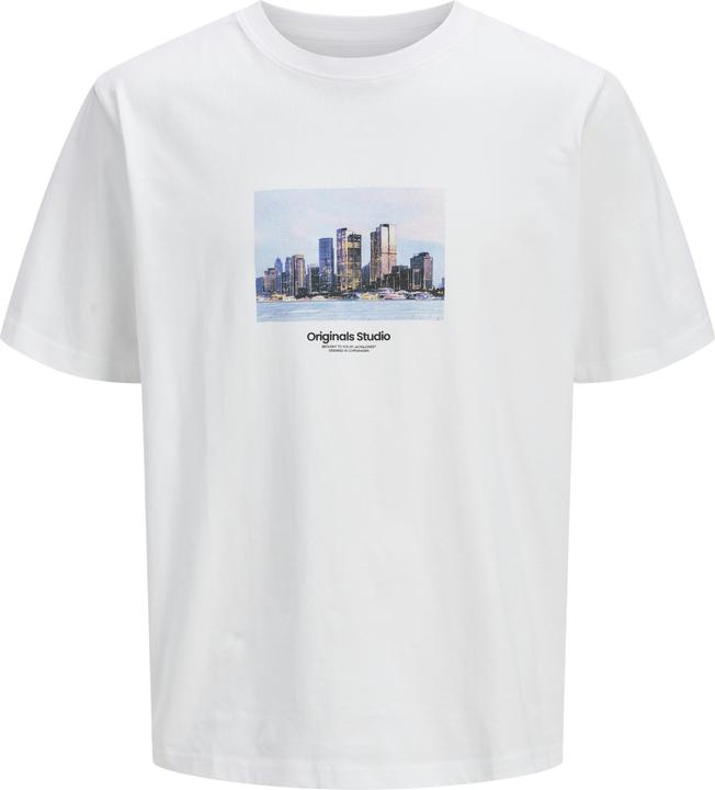 Immagine prodotto Jack & Jones Jorvesterbro Picture Tee Ss Crew Neck Sn (M)