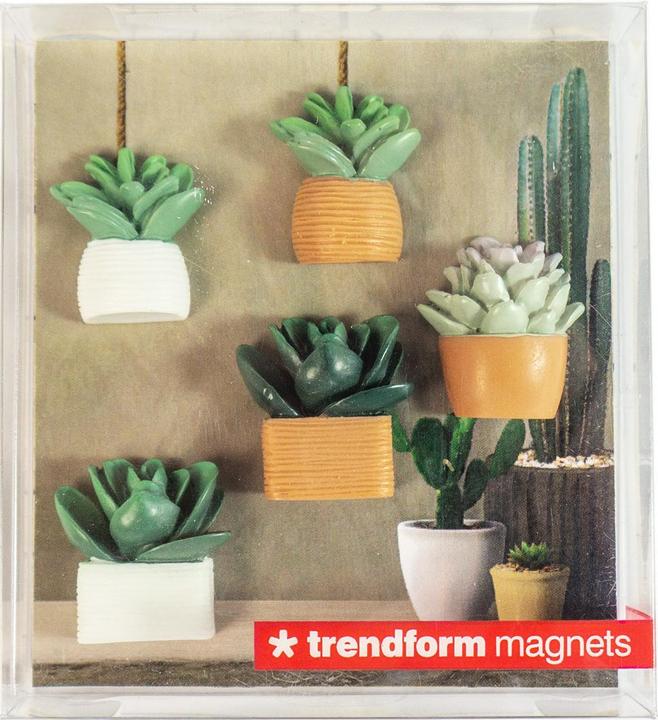 Actual product image Trendform Cactus (5 x)