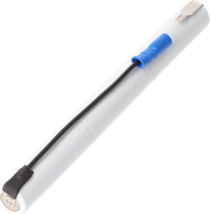 Actual product image AccuCell Battery RZB 71107840 emergency lights (1 pcs., 860 mAh, Chargers without battery)