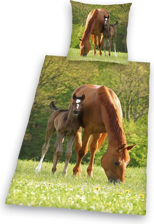 Immagine prodotto Herding Cavallo con puledro