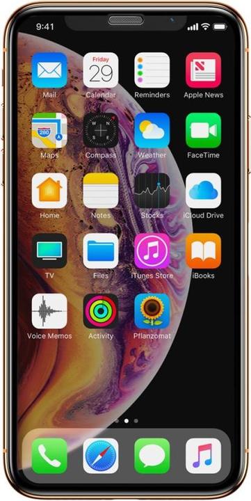 Actual product image Baseus Panzerglas (1 Piece, Apple iPhone XS)
