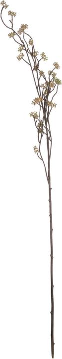 Image du produit Hill Interiors Fleur artificielle (109 cm)