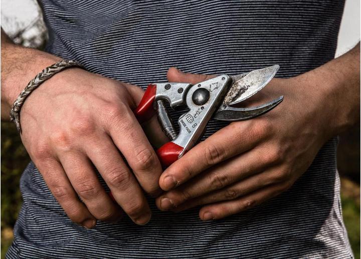 Actual product image Felco 500
