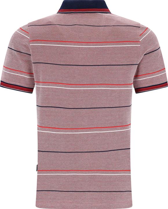 Image du produit Hajo Herren-Poloshirt (54)