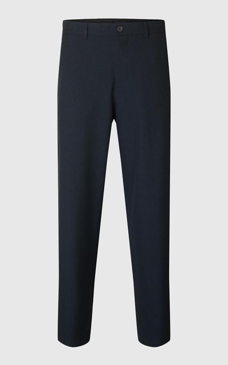 Actual product image Selected Homme Slh220-Loose Robert Flex Pant Noos (34)
