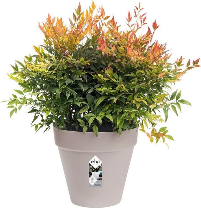Produktbild Elho Loft Urban (19.30 cm)