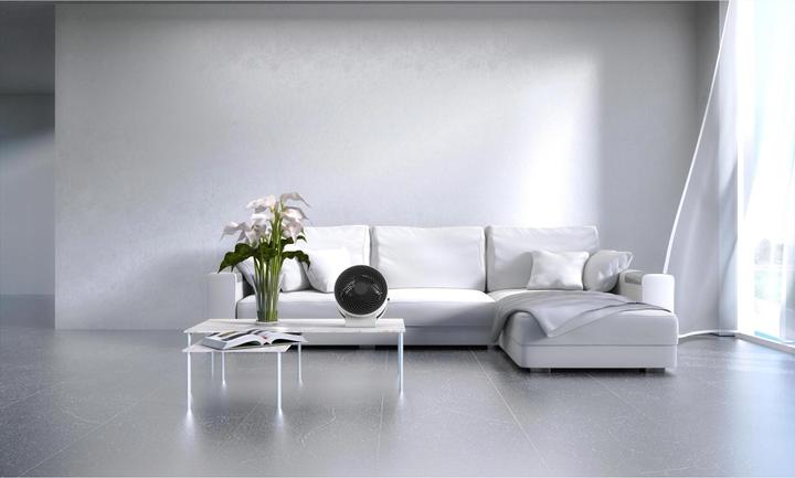 Image du produit Boneco F100 (55 dB)