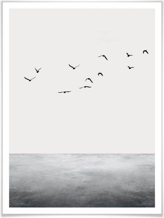 Image du produit Trenddeko La pleine mer (30 x 40 cm)