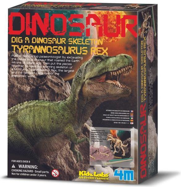 Actual product image 4M Dinosaur Excavation Tyrannosaurus Rex