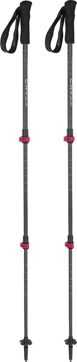 Camp Backcountry Carbon (125 cm)