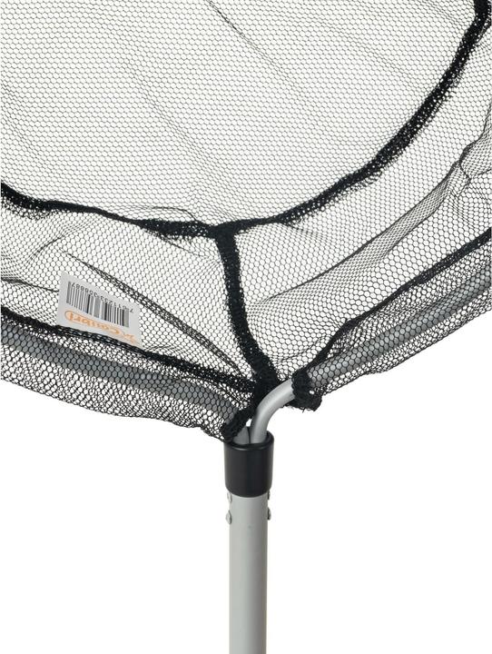 Actual product image Oase Fish landing net small 1 level