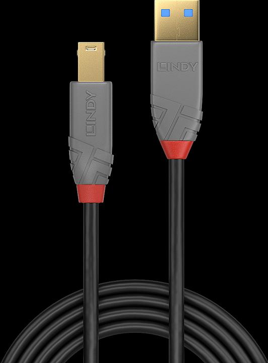 Actual product image Lindy USB/A-USB/B M-M (3 m, USB 3.0)
