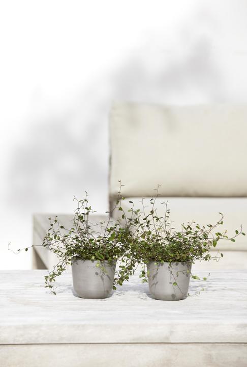 Produktbild Ecopots Oslo Mini (19 cm)