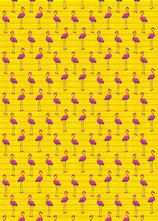 Produktbild Die Tiere Afrikas Geschenkpapier-Heft - Motiv Flamingo (Geschenkpapier)