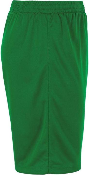 Actual product image Stanno Club Pro Shorts (L)