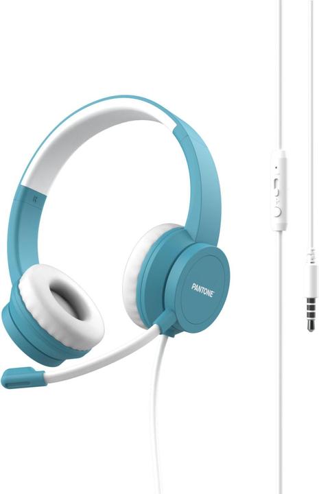 Actual product image Pantone Panto (Cable)