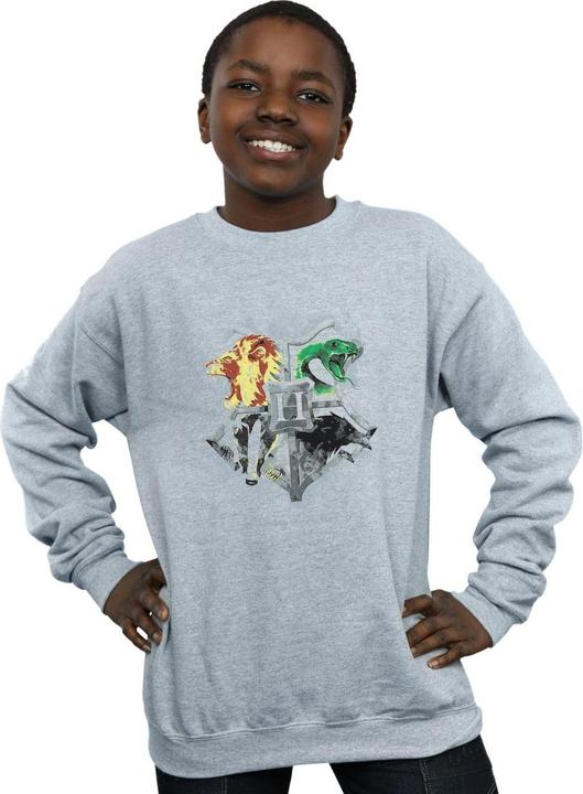 Image du produit - Sweat HOGWARTS PAINTED CREST - Garçon (140, 146)