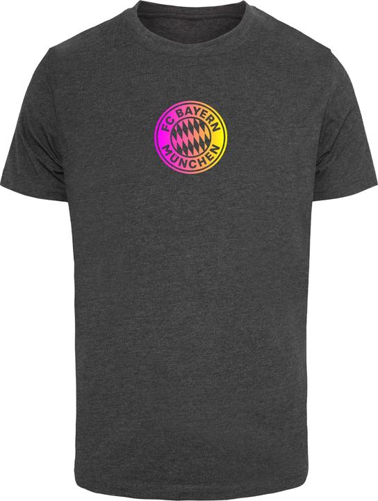 Image du produit FC Bayern München Logo PY T-shirt col rond - 115775 (L)
