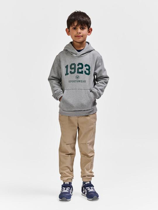 Produktbild hummel hmlNIPPS HOODIE (110)