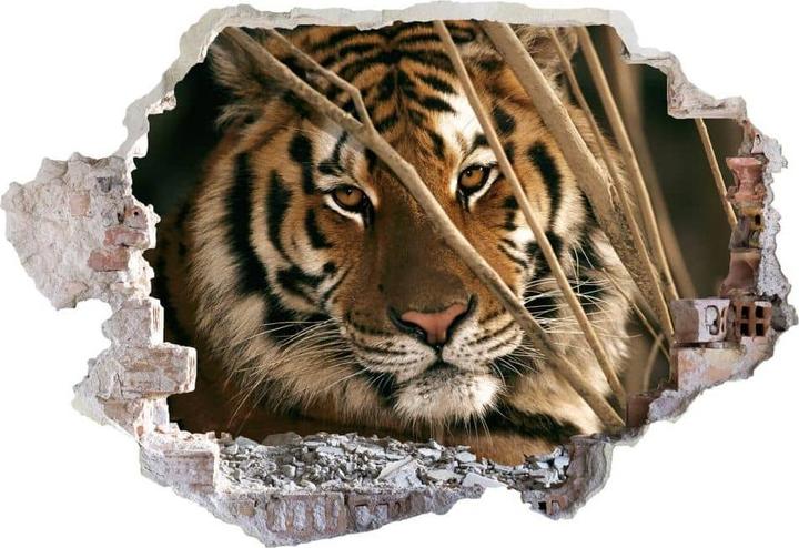 Image du produit Trenddeko 3D National Geographic Tiger (60 x 41 cm)