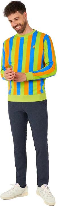 Actual product image OppoSuits – Sesamstrasse Bert Pullover (M)
