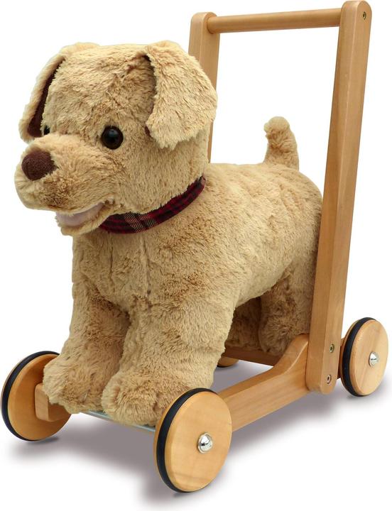 Immagine prodotto little bird told me Dexter Dog Push Along
