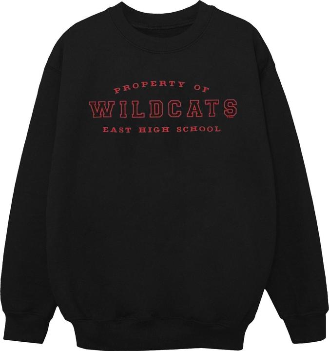 Image du produit Disney - Sweat HIGH SCHOOL MUSICAL THE MUSICAL PROPERTY OF WILDCATS - Garçon (128)