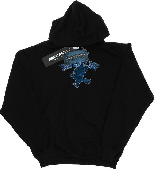 Actual product image Mens Ravenclaw Sport Emblem Hoodie (S)