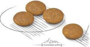 Immagine prodotto Royal Canin Mini Dermacomfort per cani adulti di piccola taglia con pelle sensibile. Peso - 1 kg. (Adulto, 1 pz., 1000 g)