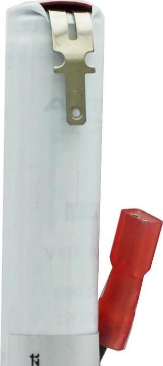 Actual product image AccuCell Battery RZB 71107840 emergency lights (1 pcs., 860 mAh, Chargers without battery)