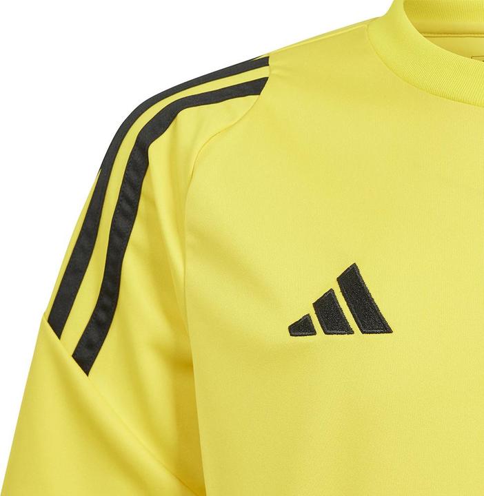 Actual product image adidas TIRO24 JSY Y (152)