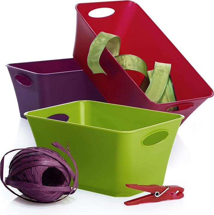 Image du produit Rotho Livingbox (13.4 x 9 x 25.2 cm, 2 l)