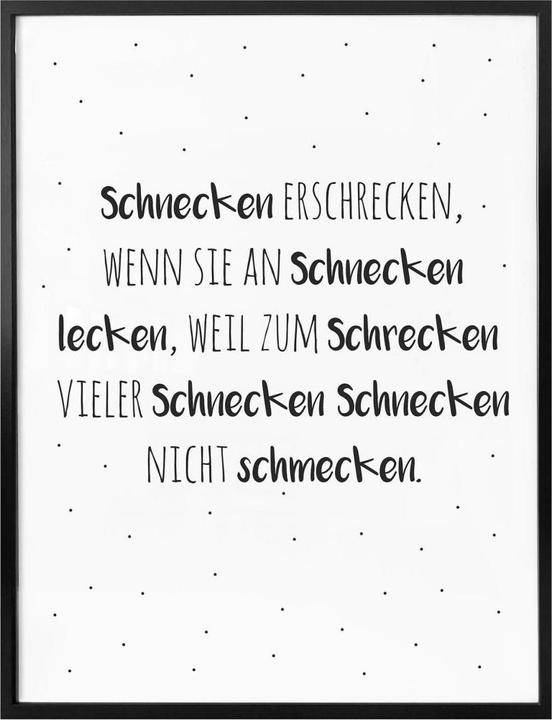 Produktbild Trenddeko Zungenbrecher - Schnecken erschrecken (24 x 30 cm)