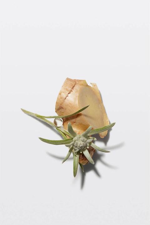 Produktbild Kérastase Genesis Ampoules Cure Fortifiante Anti-Chute (60 ml)