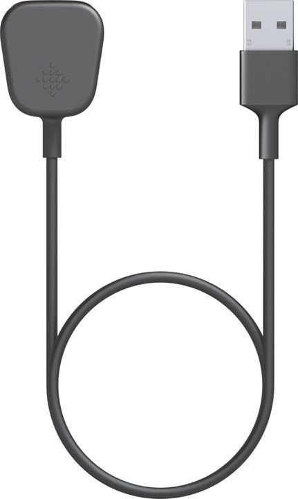 Produktbild Fitbit Charging Cable