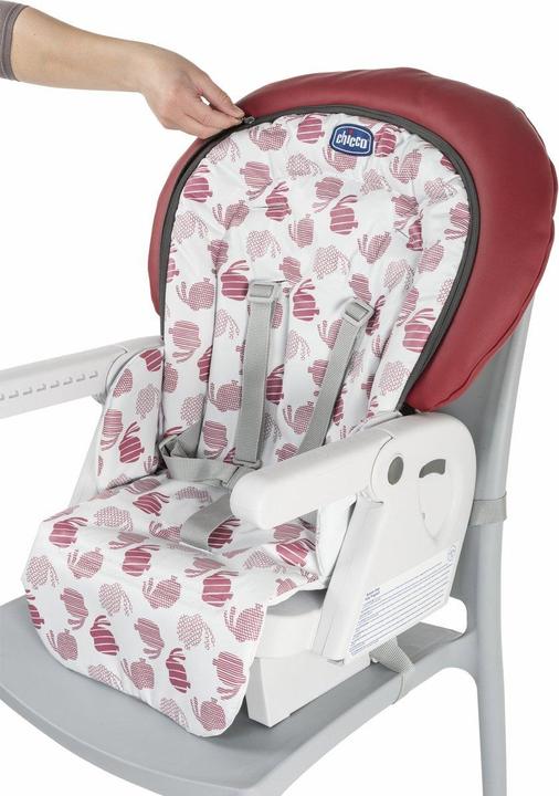 Actual product image Chicco Polly Progres5 (Highchair)