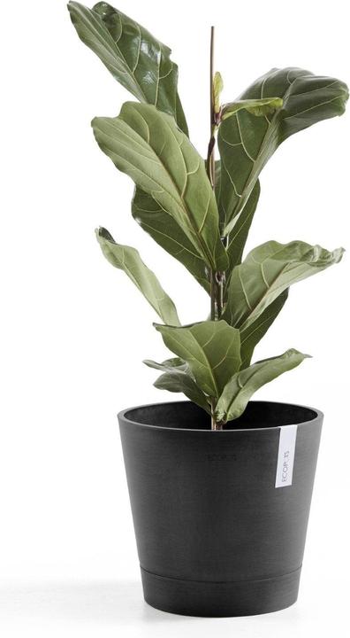Produktbild Ecopots Venice (40 cm)