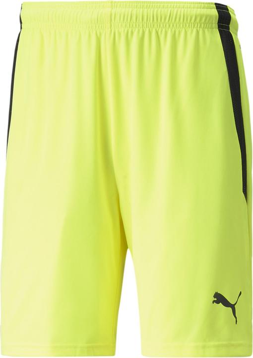 Actual product image Puma teamLIGA Shorts-704924 (L)