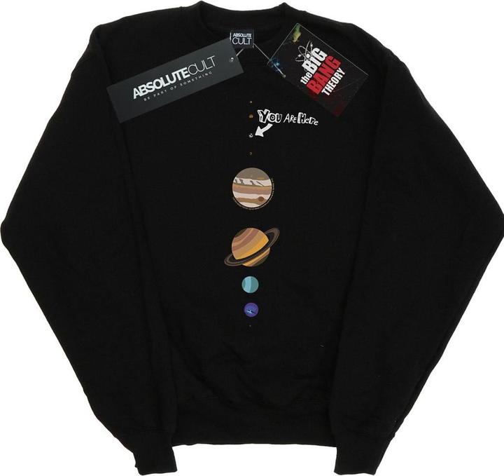 Produktbild Dam You Are Here Sweatshirt (XL)