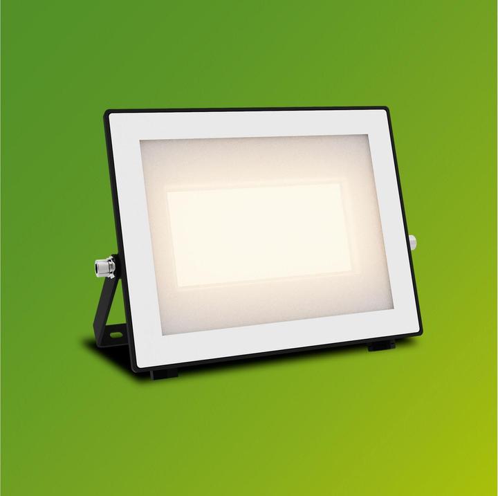 Image du produit Philips Outdoor Flutlicht Lois (5400 lm, IP65)