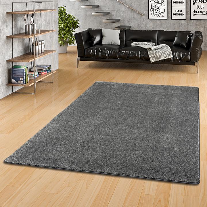 Produktbild Snapstyle Hochflor Luxus Velours Teppich Touch (200 x 250 cm)