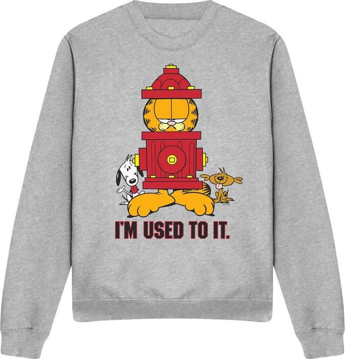 Garfield I'm Used to It Sweatshirt