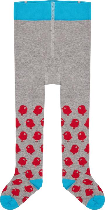 Grey, Birds