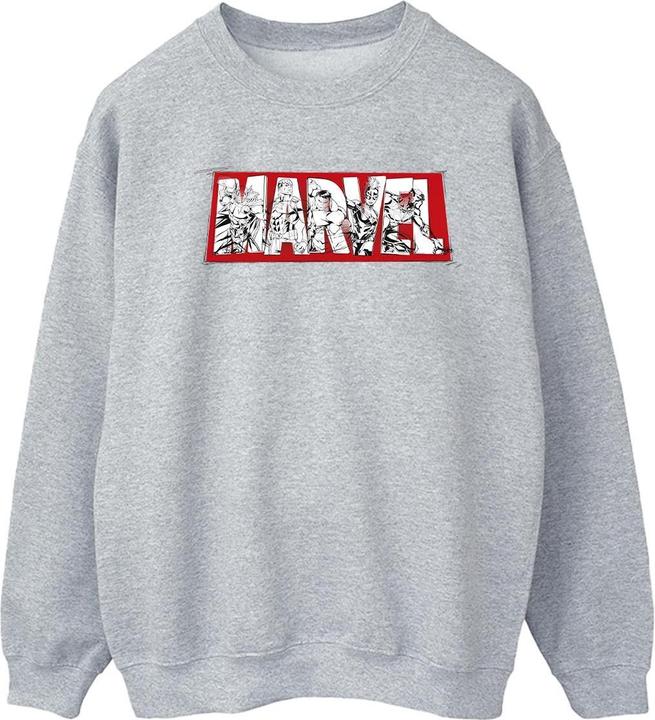 Actual product image Womens/Ladies Avengers Infill Sweatshirt (M)