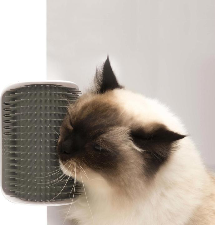 Actual product image Catit Senses (Catmint toy)