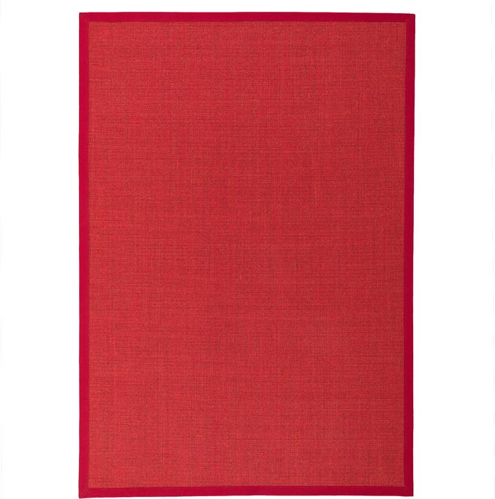 Produktbild Pergamon Sisalteppich Natura Klassisch mit Bordüre (120 x 170 cm)