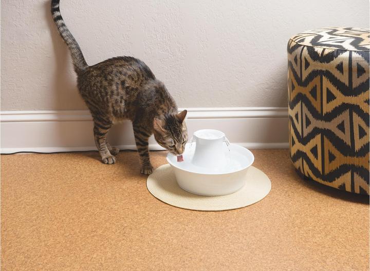 Actual product image Drinkwell PetSafe Avalon (2 l)