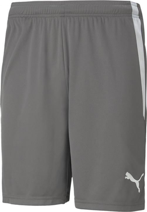 Actual product image Puma teamLIGA Shorts-704924 (S)