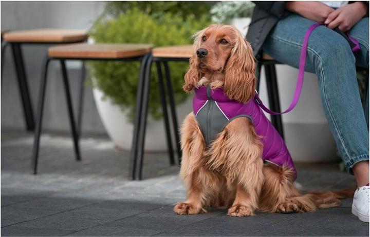 Actual product image Red Dingo Dog coat puffer 50 cm pink/purple (Dog coat)